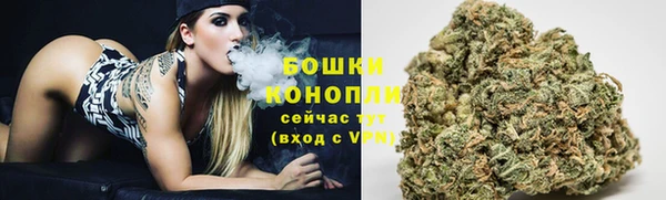 ГАЛЛЮЦИНОГЕННЫЕ ГРИБЫ Сатка