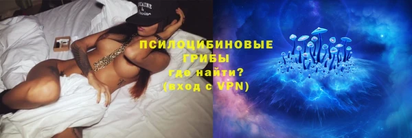 PSILOCYBIN Абинск