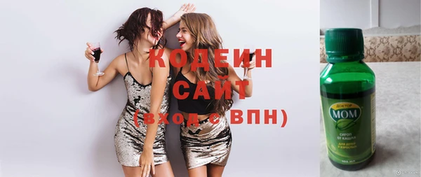 ГАЛЛЮЦИНОГЕННЫЕ ГРИБЫ Сатка