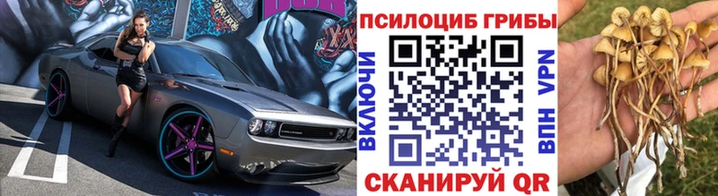 Псилоцибиновые грибы Psilocybine cubensis  наркотики  Вичуга 