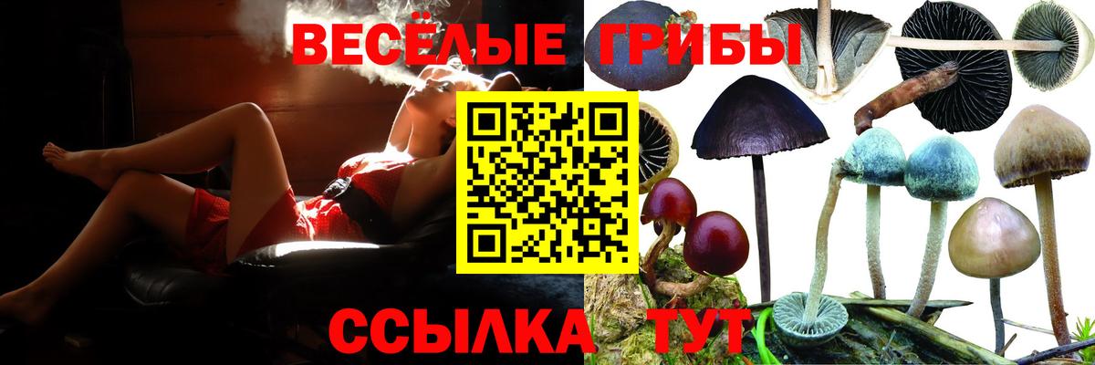 Псилоцибиновые грибы MAGIC MUSHROOMS  закладка  Вичуга  Псилоцибиновые грибы MAGIC MUSHROOMS  Вход с VPN 